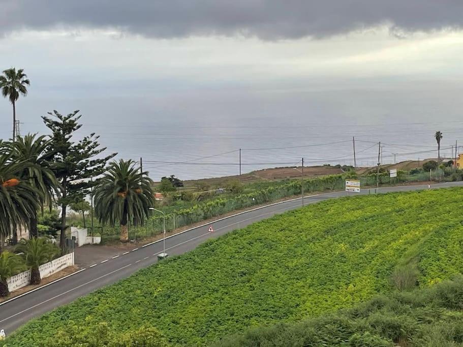 La Casita De La Pared Appartement Santa Cruz de Tenerife Buitenkant foto